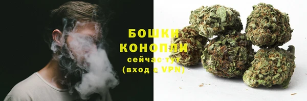 apvp Лиски
