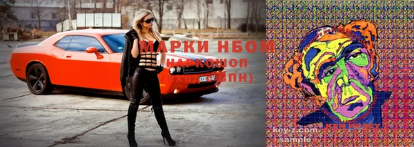 apvp Лиски